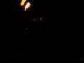 videos de firedancers