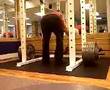 Deadlift 645 x 1!!!!!