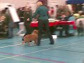 Sasha clubmatch veendam 2 Sasha clubmatch veendam 2