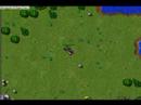 Wyvern Battle