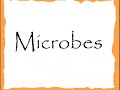 World Of Microbiology World Of Microbiology