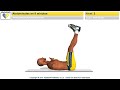 Abdominales en 8 minutos nivel 3 (Sin música)