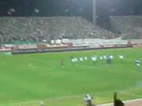 algerie zambie 1-0 les suporteures 8