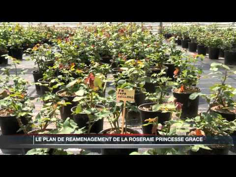 JT Monaco Info du lundi 20 mai 2013
