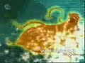 Winx Club - Enchantix Italian, Dutch, Rai English and Polish Winx Club - Enchantix Italian, Dutch, Rai English and Polish