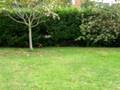 Tana en el jardin