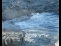 tra le onde del mare
di william wilson 
tutto un altro mondo
ancora troppo sconosciuto
fonte di vita
e scrigno di tesori.
racchiude in s�
i segreti di millenni
di vite passate
di vite spezzate.
divinit� dai mille volti
incute paura
dona stupende visioni.
artista vivace
scolpisce la terra
a suo piacimento.
non tutti riescono
a sentir la sua voce
a capirne l'umore.
solo quel vecchio
seduto sullo scoglio
sfiora l'acqua con la mano.
sul suo volto un sorriso
intriso di malinconia
e una lacrima vola via
e si confonde con il mare.
un altro segreto
sar� cos� custodito
e per sempre
tra le onde del mare!
  

dedicato a tutti coloro che amano il mare
daniela