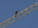 El rescate del fortin