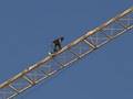 El rescate del fortin