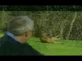 panda-dance.html