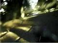 videos de Bike Tripping