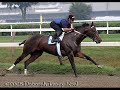 Lost In The Fog: One Of Horseracing's Greatest Sprinters
