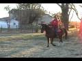 alice and billy in the backyard.wmv