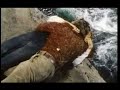 A clip of classic Hollywood star Ki ...
