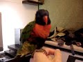 funny-rainbow-video.html