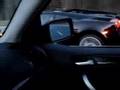 Gallardo-with-straig