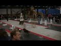 Jolly Jumpers run for Belgian title in Flyball Jolly Jumpers run for Belgian title in Flyball