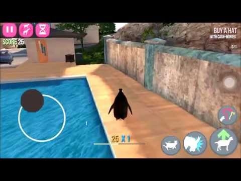 how to hitchhiker goat