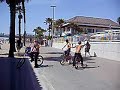 Skateboarding Dog Huntington Beach, CA