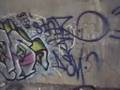 Star & Star + SNIF TECK SCUM STScrew