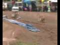 videos de BMX Racing NSW State titles 2008
