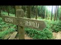 金剛登山05久留野峠ルート