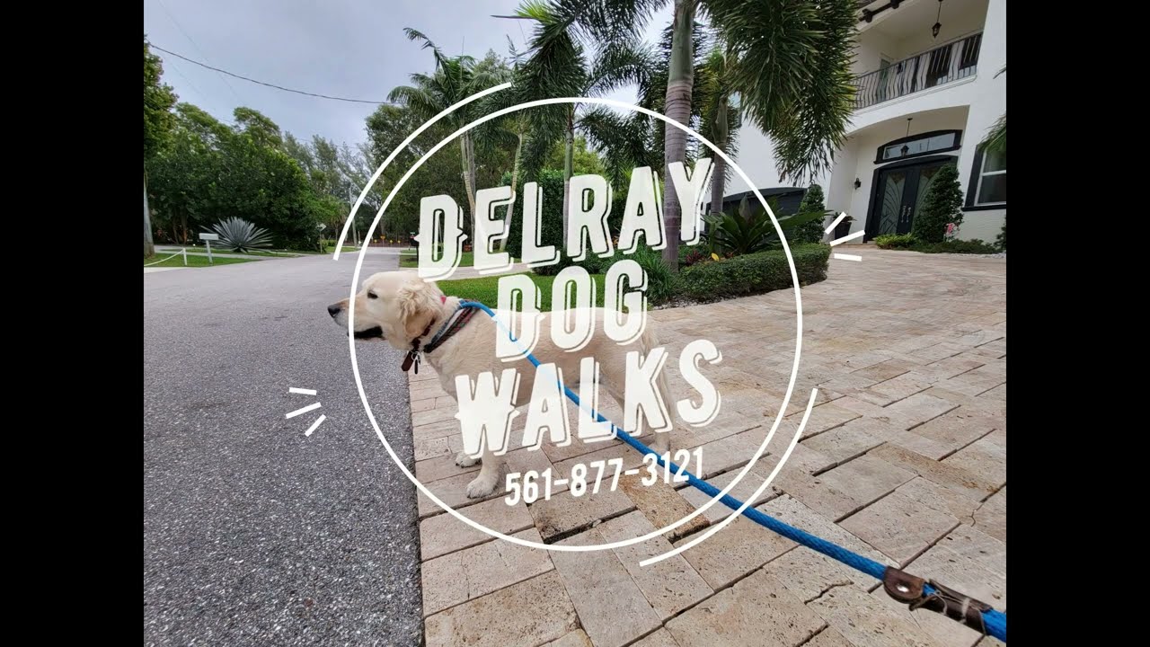 Delray Dog Walks at Atlantic Dunes Park