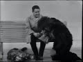 MORECAMBE & WISE : Camera/Cinema/Dog 12/20