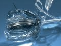 carbon based lifeforms - hydroponic garden