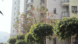 RISSOFT On The Go - Property Management Software