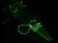 NFI GREEN Animation Laser 20Kpps Scanner ILDA Port