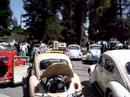 VW Show Kelley Park.