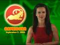 Capricorn Horoscope September 5, 2008