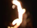 video 'enter the treehouse'made for up and coming band kyte.