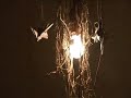 video 'enter the treehouse'made for up and coming band kyte.
