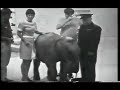 TV Outtakes - Elephant Bloopers