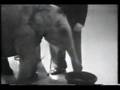 TV Outtakes - Elephant Bloopers
