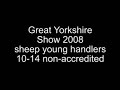 Great Yorkshire Show 2008 - sheep 10-14 non-accredited