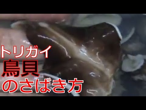 ????????The recipe of the cockle