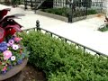 TOP CONTAINER GARDEN DESIGNS in CHICAGO by *Chicago