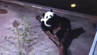 Smithsonian National Zoo