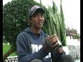 Susahnya Bikin Film - BSI 3G