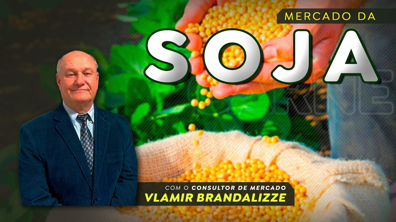 Soja pode ter perdas importantes no RS; qual é o impacto na safra brasileira?