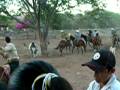 videos de Toros En Zarate