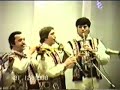 LAUTARII lui N.Botgros -BOTOSANI -SUITA