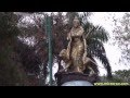 Dr. Rajkumar Park, Bellary(7 hours ago)