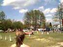 Sambo on FMBB World Championship 2008, agility 1