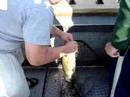 lake-bonclarken-sam-catches-largemouth-bass.html