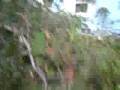 videos de Nach dem Zaun-Unfall