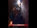 KTVT 11 News rock climbing gym in old grain elevator